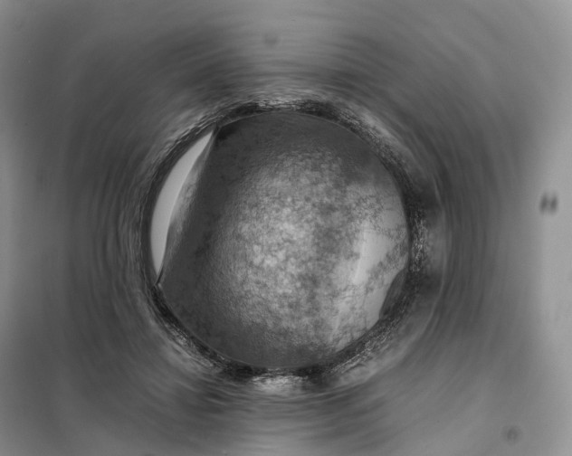 X0000098000452200804071222