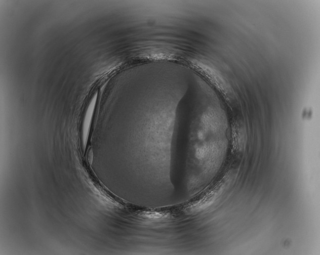 X0000098000453200804071222