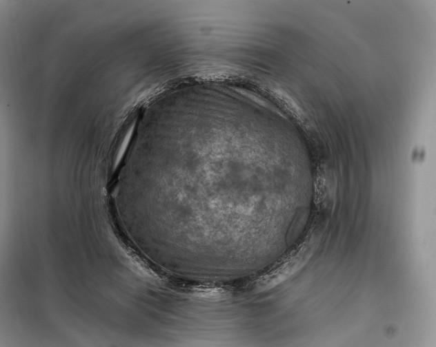 X0000098000454200804071222
