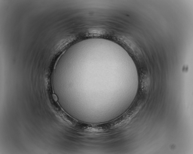 X0000098000455200804071222