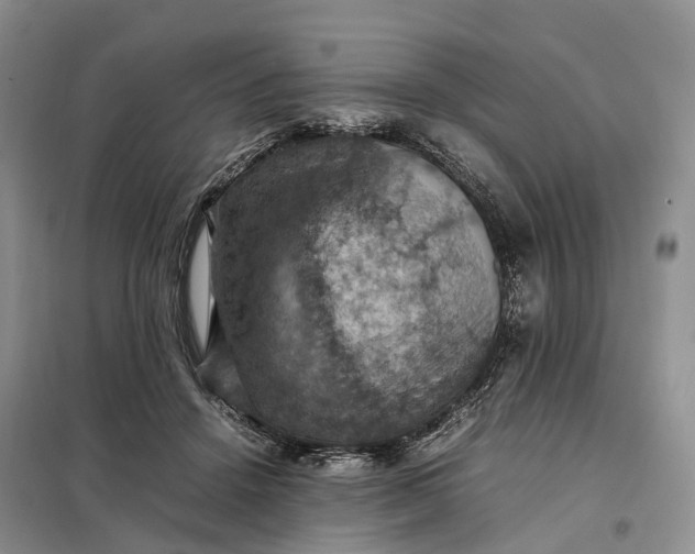 X0000098000456200804071222