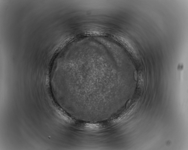 X0000098000457200804071222