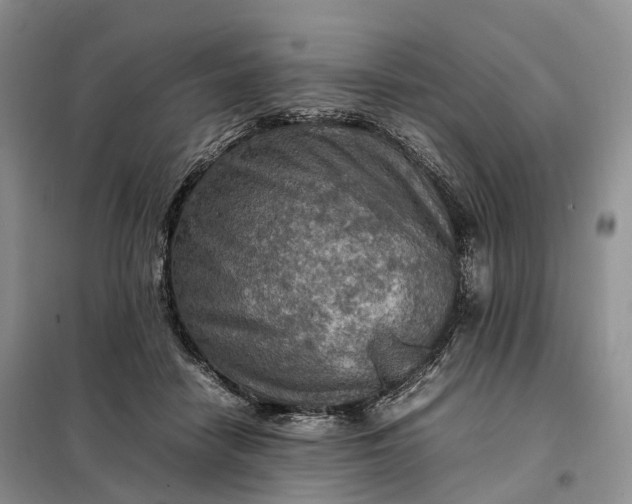 X0000098000458200804071222