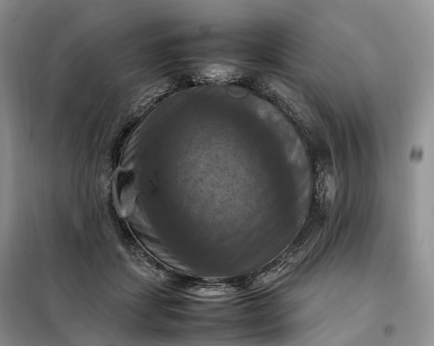 X0000098000459200804071222