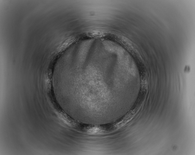 X0000098000460200804071222