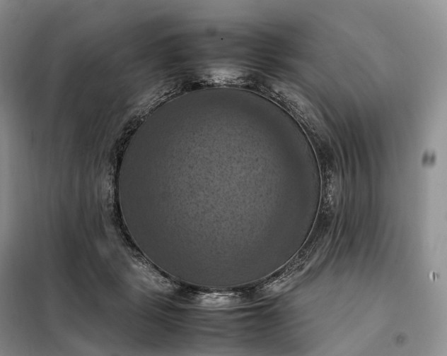 X0000098000461200804071222