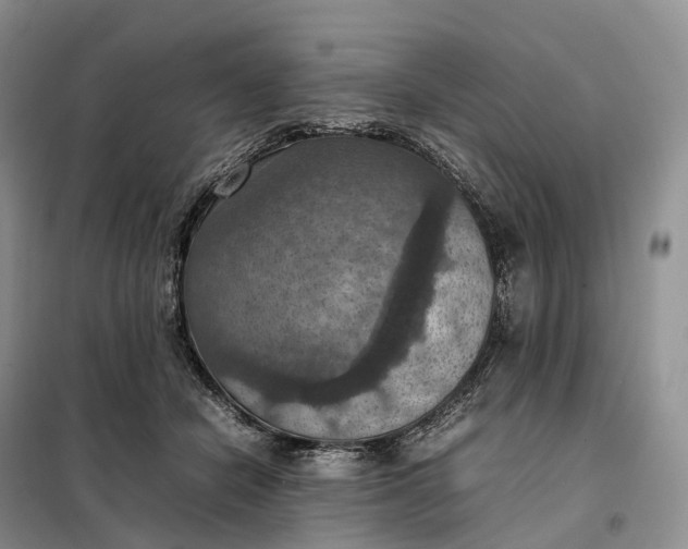 X0000098000462200804071222