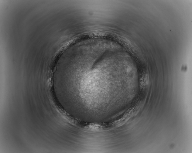 X0000098000464200804071222