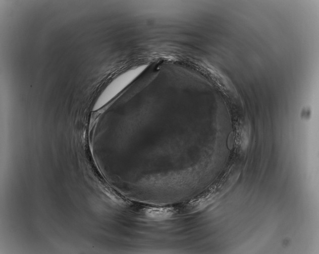 X0000098000465200804071222