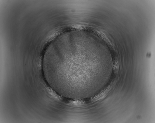 X0000098000466200804071222