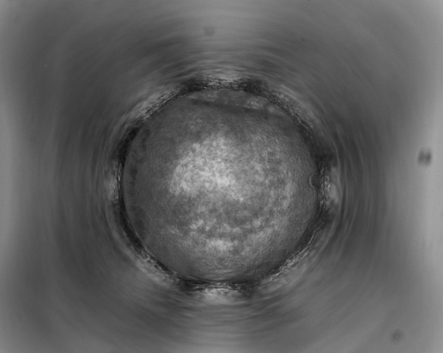 X0000098000468200804071223