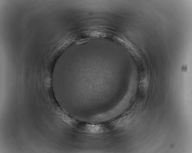 X0000098000469200804071223