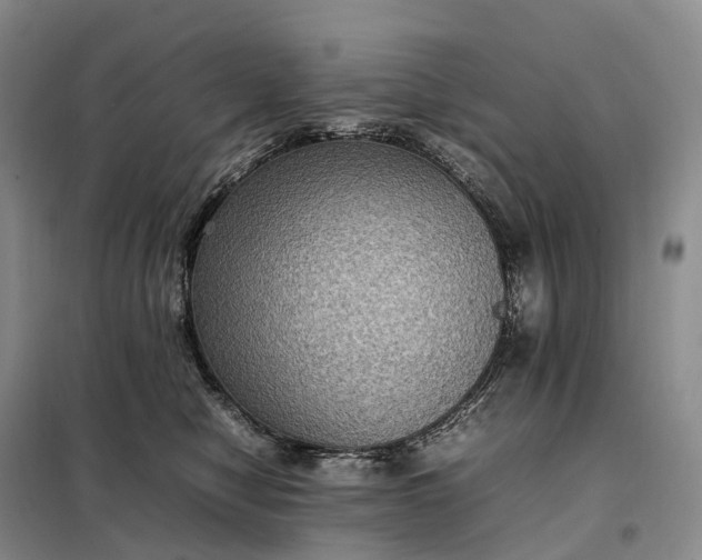 X0000098000470200804071223