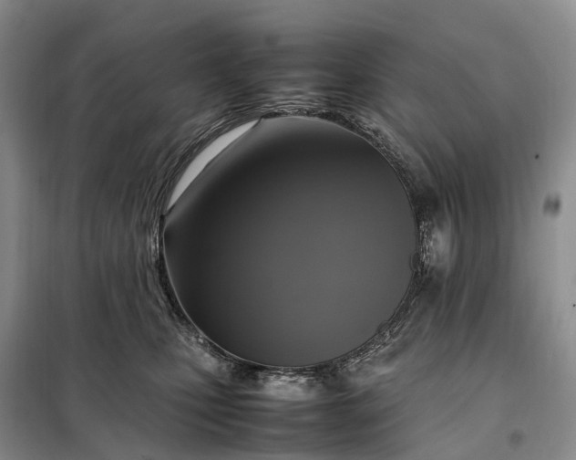 X0000098000471200804071223