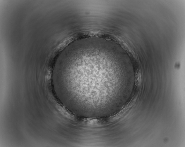 X0000098000472200804071223