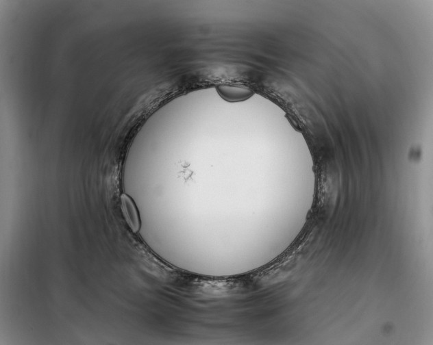 X0000098000473200804071223