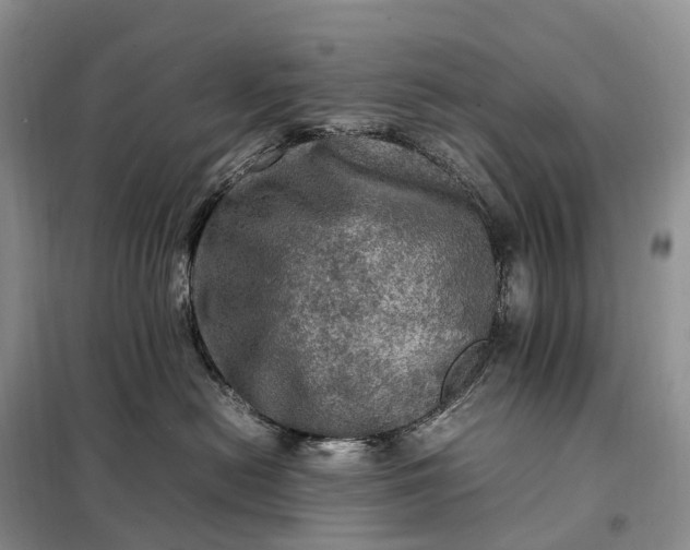 X0000098000478200804071223