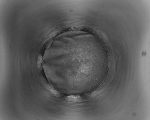 X0000098000480200804071223