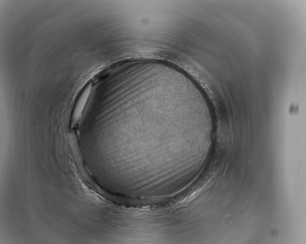 X0000098000481200804071222