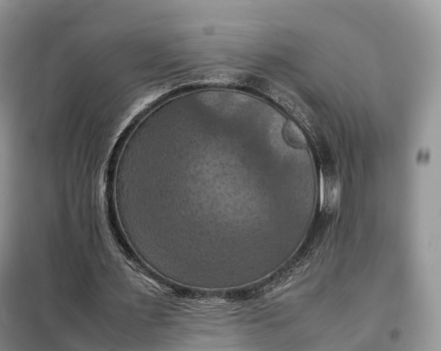 X0000098000483200804071222