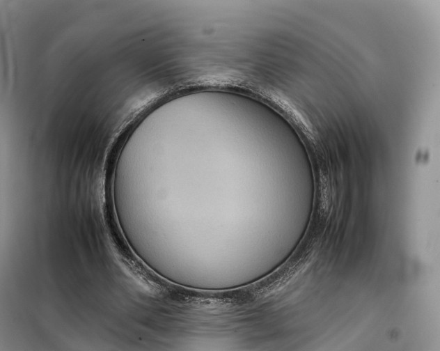 X0000098000486200804071222