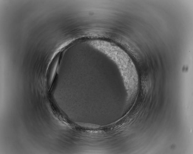 X0000098000488200804071222