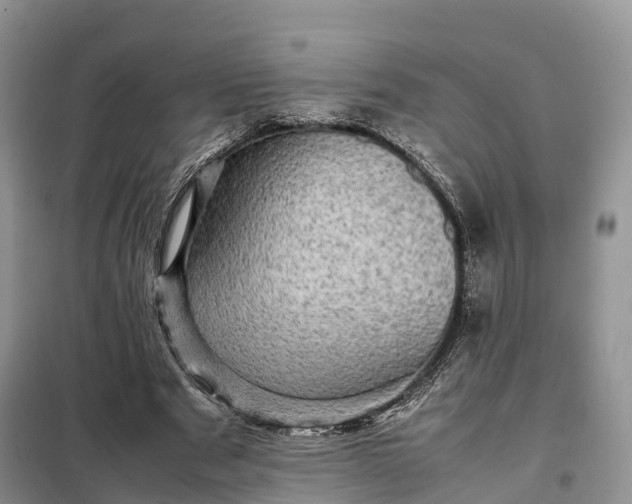 X0000098000489200804071222