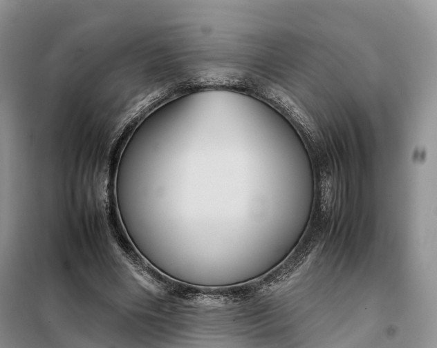 X0000098000490200804071222