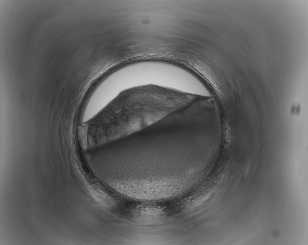 X0000098000491200804071222