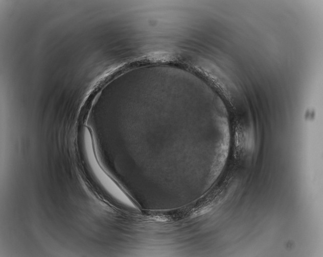 X0000098000492200804071222