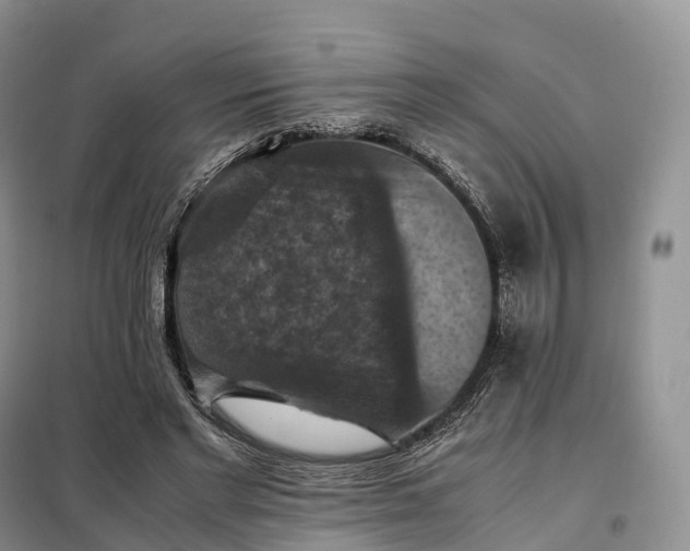 X0000098000493200804071222