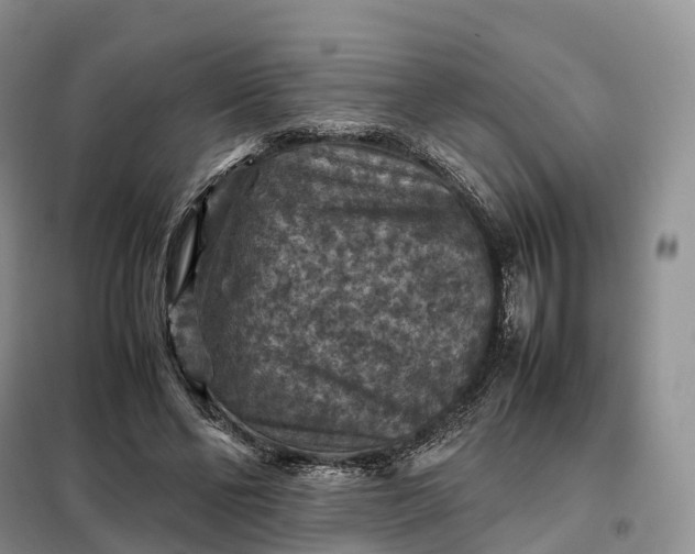 X0000098000494200804071222