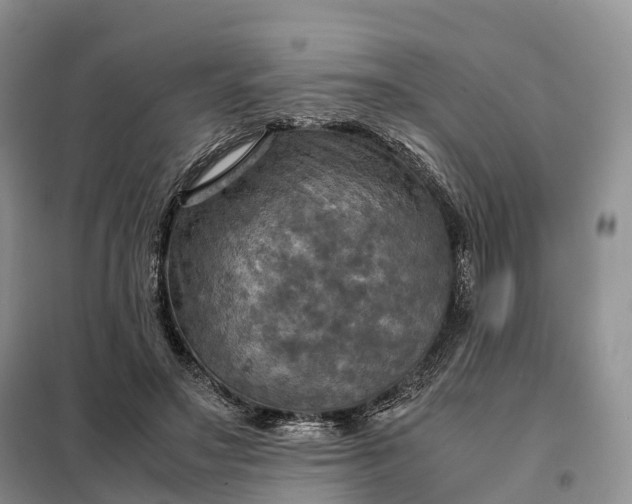 X0000098000499200804071222