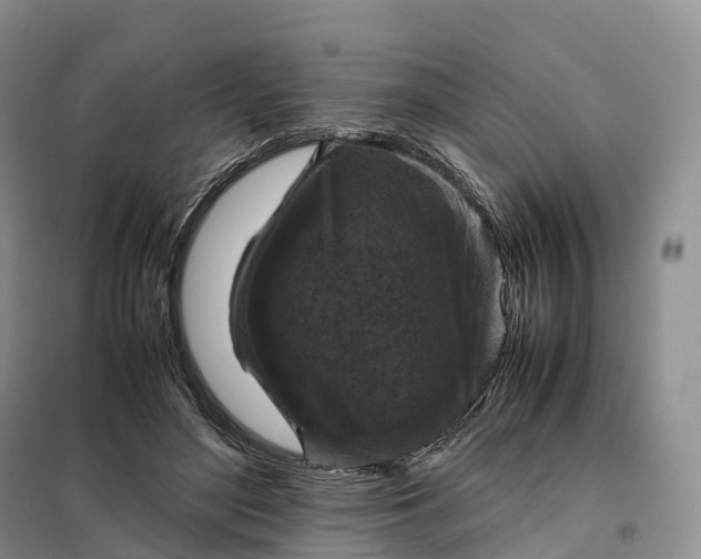 X0000098000500200804071222