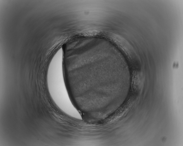 X0000098000501200804071222