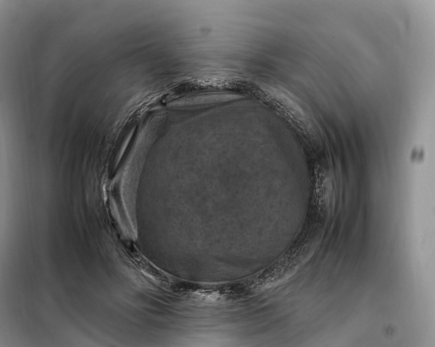 X0000098000502200804071222