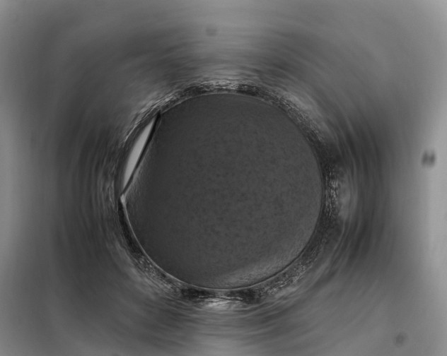 X0000098000504200804071221