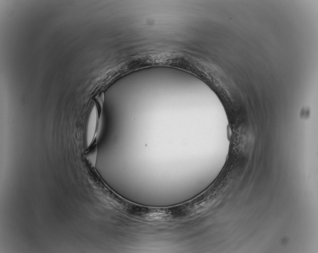X0000098000505200804071221
