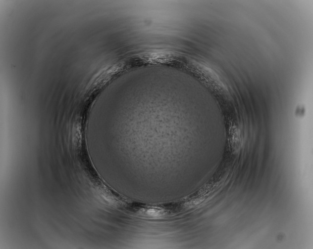 X0000098000506200804071221