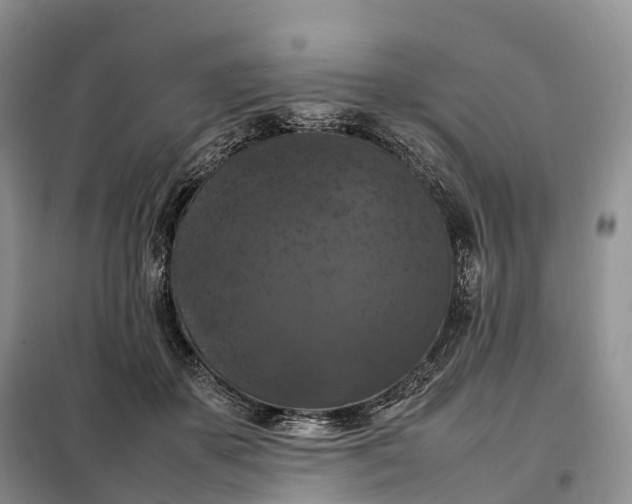 X0000098000507200804071221