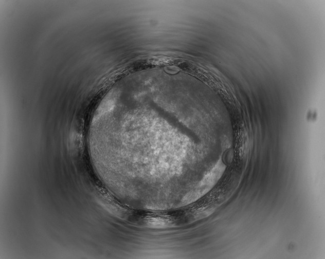 X0000098000510200804071221