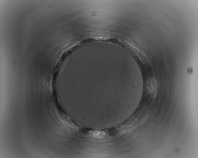 X0000098000512200804071221