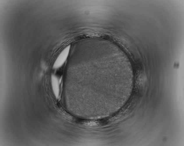 X0000098000513200804071221