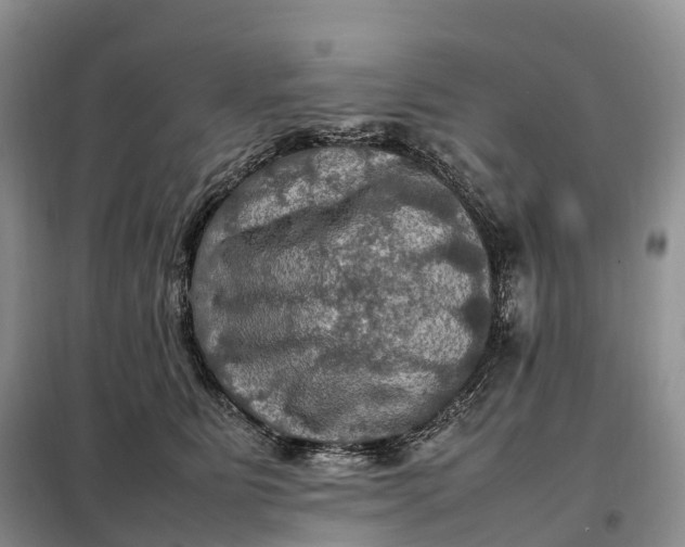 X0000098000515200804071221