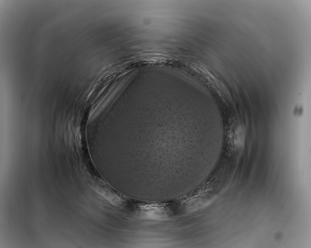 X0000098000516200804071221