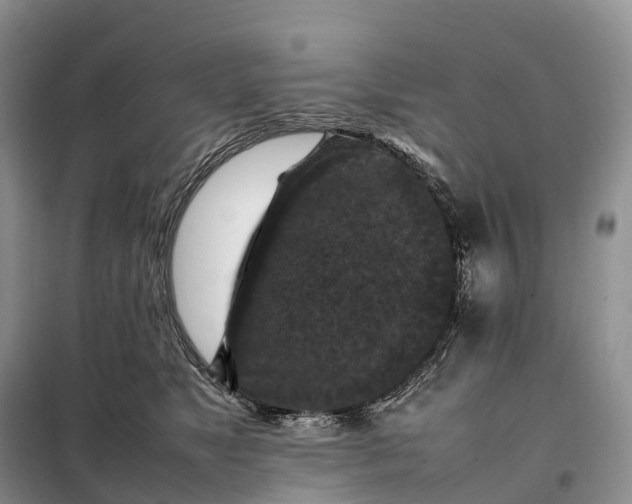 X0000098000517200804071221