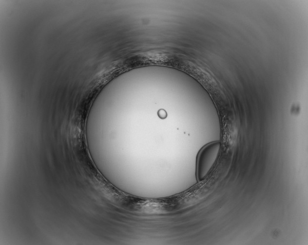 X0000098000518200804071221