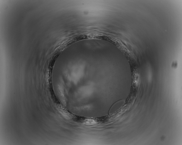 X0000098000519200804071221