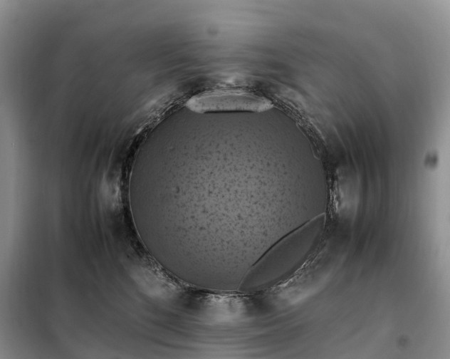 X0000098000520200804071221