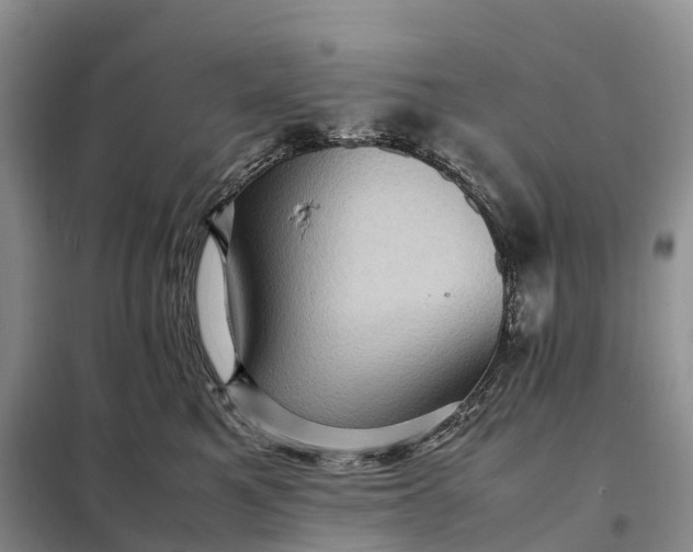 X0000098000521200804071221